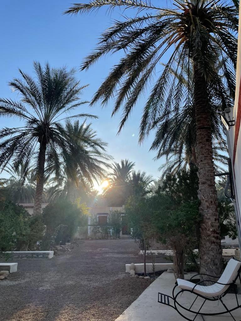 Dar Barka Hotel Kebili Exterior foto