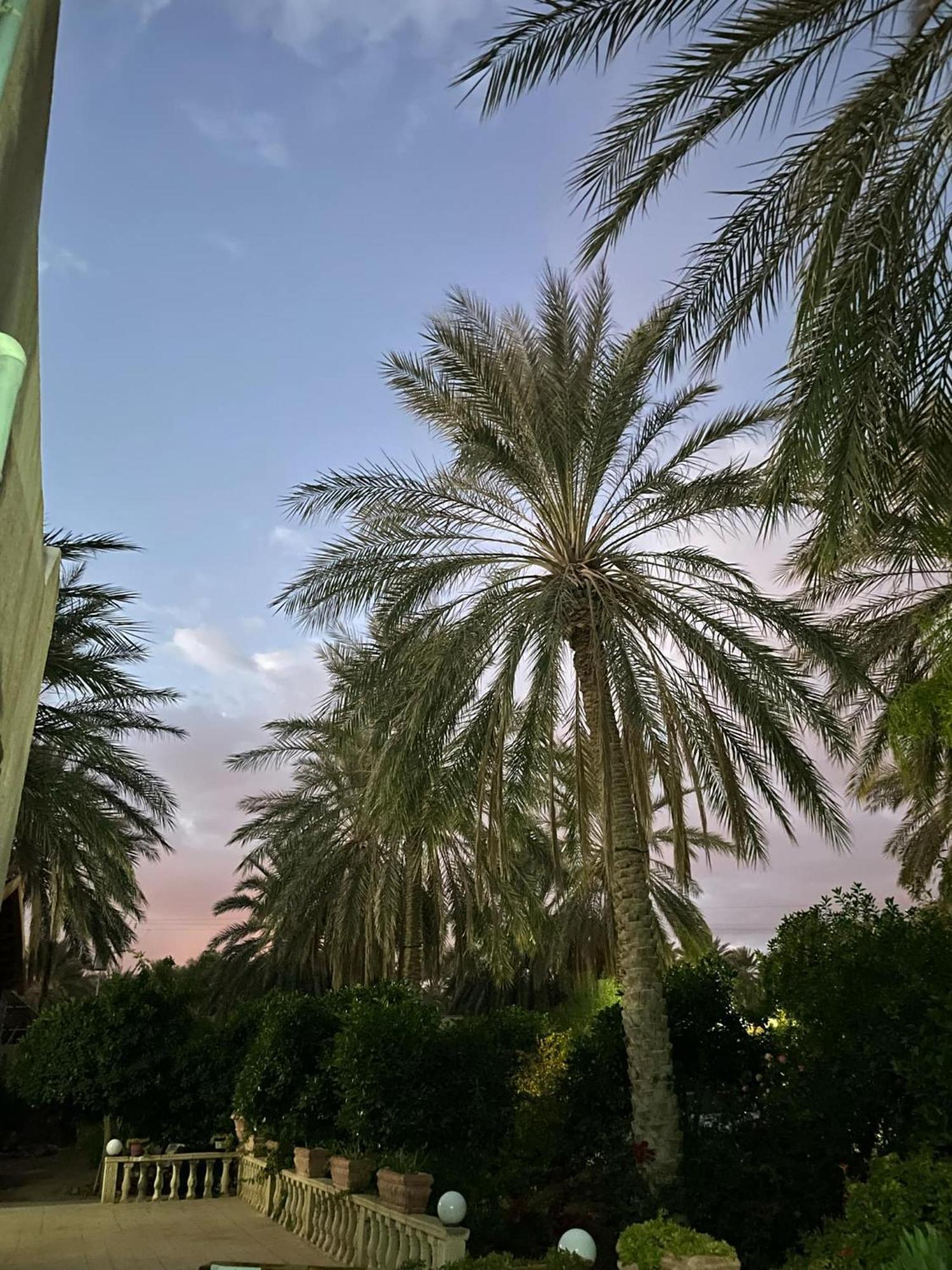 Dar Barka Hotel Kebili Exterior foto