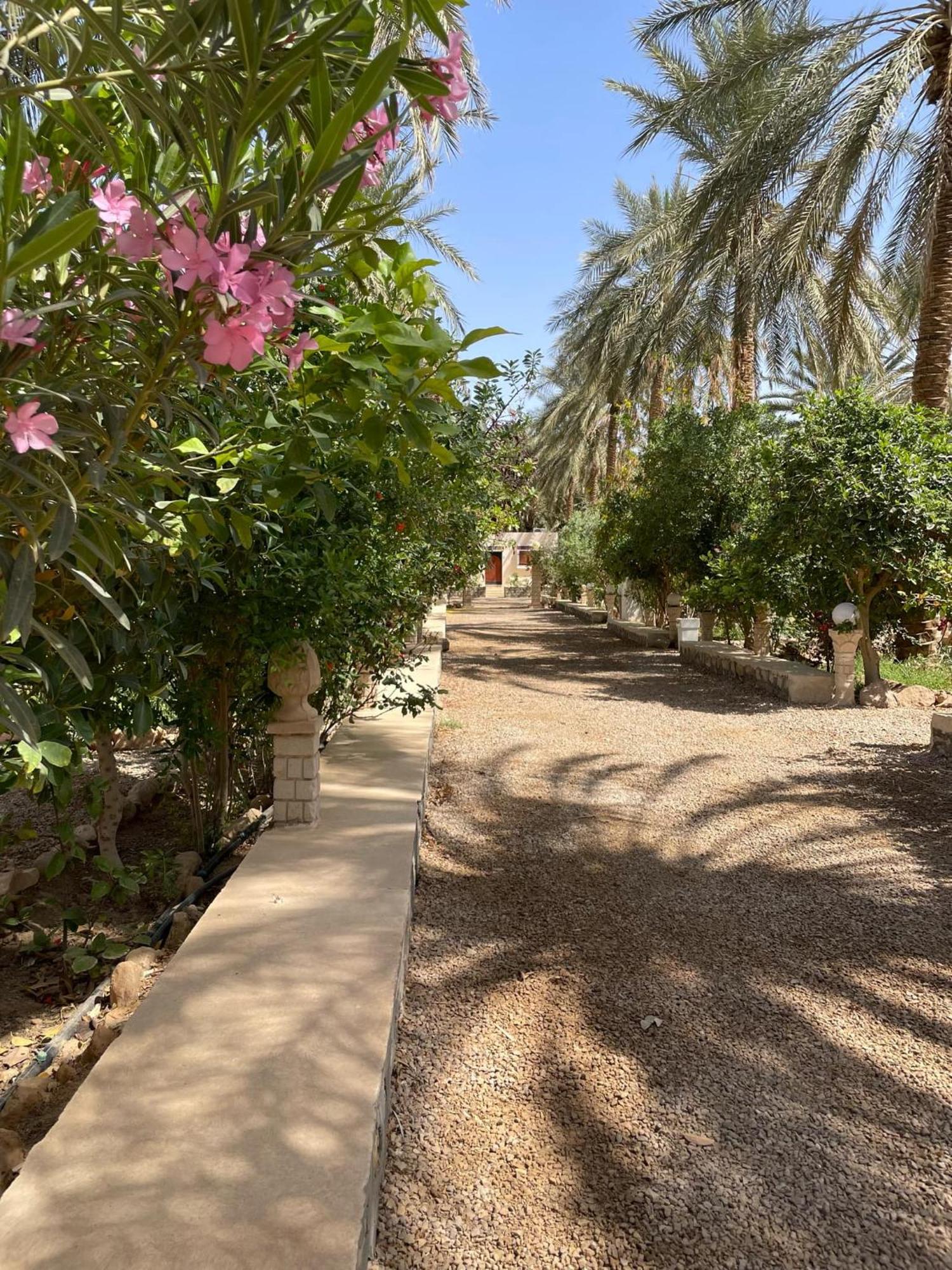 Dar Barka Hotel Kebili Exterior foto